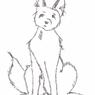 chat-chien012